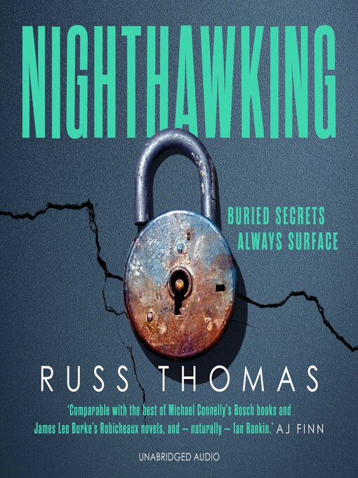 Cover image for Nighthawking